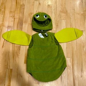 Pottery Barn Kids 2T-3T turtle costume
